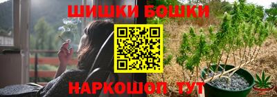 МДПВ Новокубанск