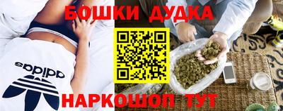 МДПВ Новокубанск